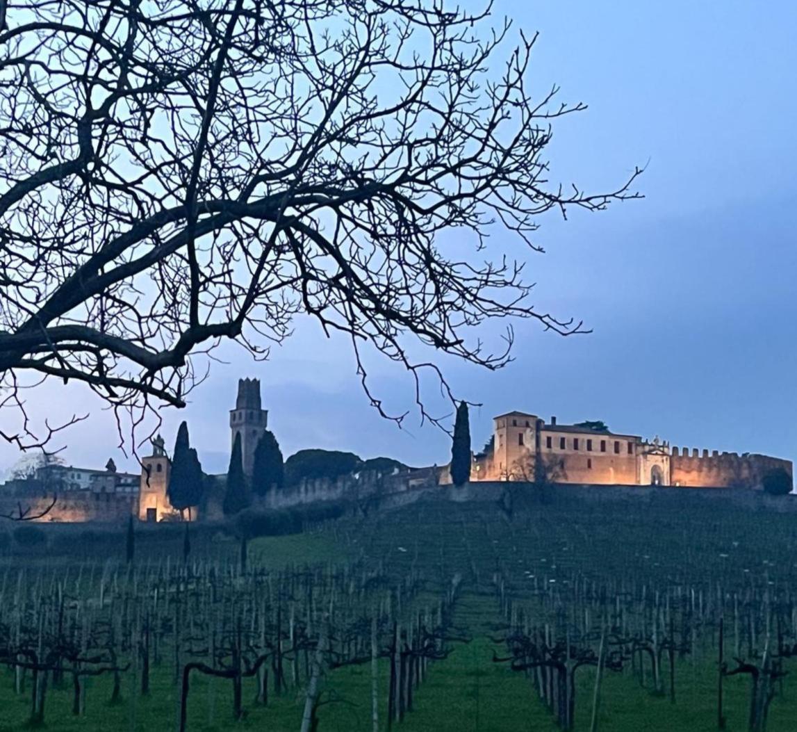 I Sassi Della Piave Susegana Exterior foto