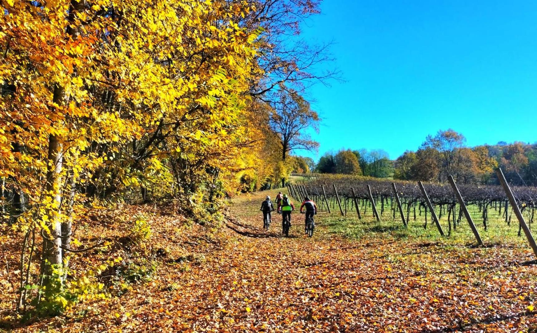 I Sassi Della Piave Susegana Exterior foto